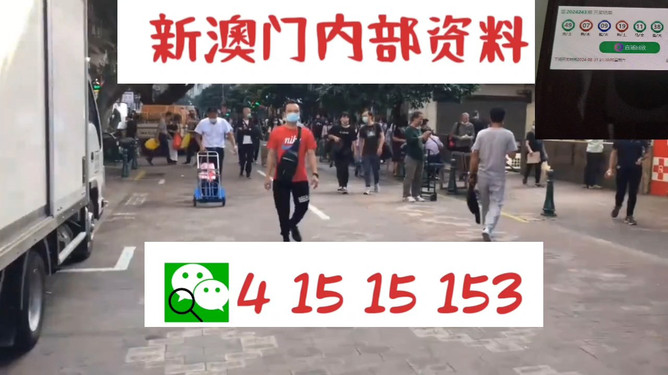 澳門管家婆一馬一中一開，揭秘背后的秘密與策略，澳門管家婆一馬一中一開，揭秘背后的秘密與策略揭秘背后的秘密與策略