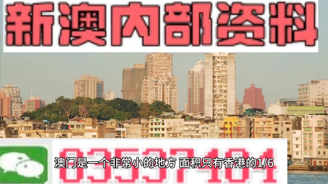 澳門精準(zhǔn)資料大全免費(fèi)，探索與解析，澳門精準(zhǔn)資料大全免費(fèi)解析探索