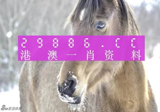 澳門一肖一碼，揭秘一個關(guān)于精準(zhǔn)預(yù)測背后的故事，澳門一肖一碼揭秘，精準(zhǔn)預(yù)測背后的神秘故事