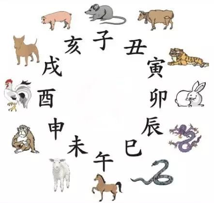 澳門天天彩期期精準(zhǔn)十二生肖預(yù)測(cè)——揭秘彩票秘密，澳門天天彩期期精準(zhǔn)十二生肖預(yù)測(cè)，揭秘彩票秘密之獨(dú)家解析