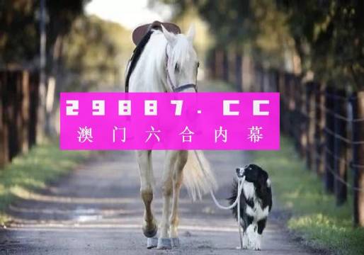 澳門(mén)彩的奧秘世界與SEO優(yōu)化策略探討 —— www.04812com的獨(dú)家解析，澳門(mén)彩奧秘與SEO優(yōu)化策略獨(dú)家解析，www.04812com深度探討