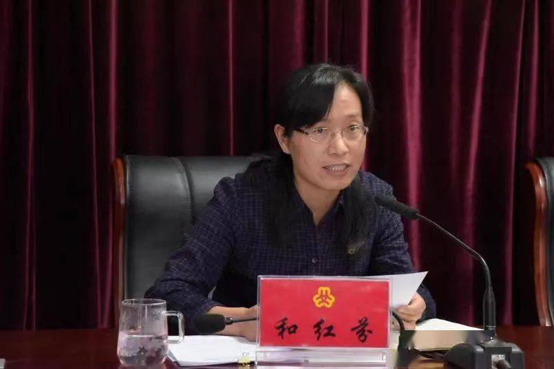 二四六香港期期中的資料解析與SEO優(yōu)化策略，香港期期二四六資料解析與SEO優(yōu)化策略探討