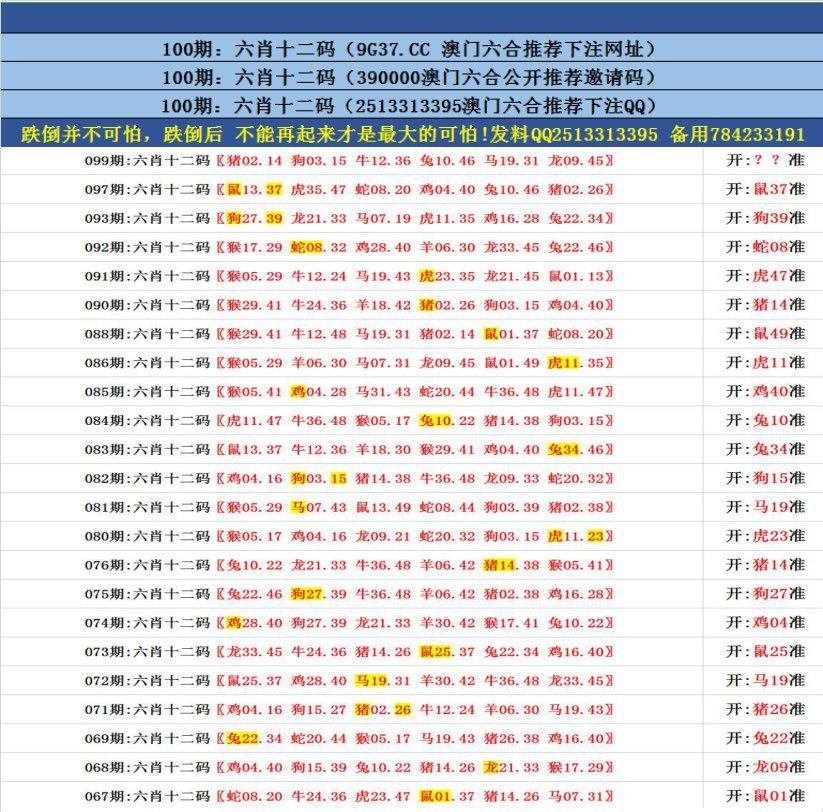 澳門無錯九肖今日搜狗，探索與解析，澳門無錯九肖今日搜狗，深度解析與探索