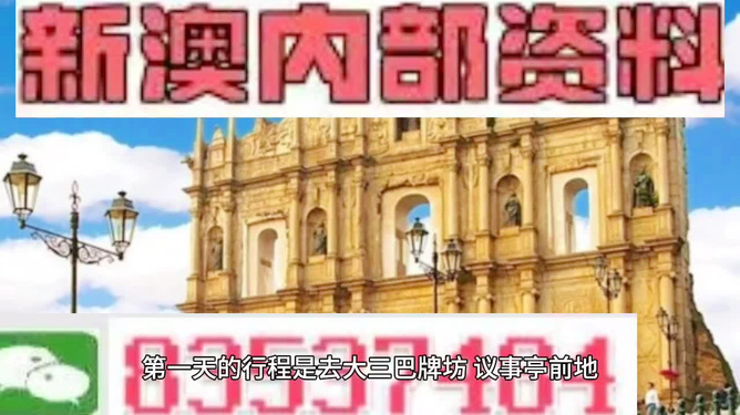新澳門精準(zhǔn)資料大全管家婆料，探索與解析，澳門精準(zhǔn)資料大全解析，探索管家婆料內(nèi)幕