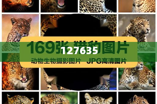 精準新傳真，揭秘數(shù)字組合7777788888的神秘面紗，揭秘數(shù)字組合7777788888的神秘面紗，精準新傳真解讀