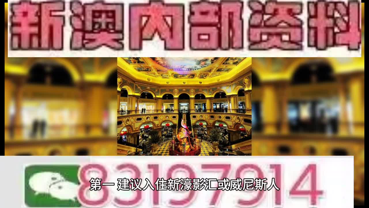 新澳門特馬王，探索與解析，新澳門特馬王，深度探索與解析