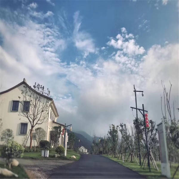新奧今晚開(kāi)一肖一特講解詞語(yǔ)，揭秘生肖與特肖的獨(dú)特魅力，揭秘生肖與特肖的獨(dú)特魅力，新奧今晚一開(kāi)一特講解詞語(yǔ)