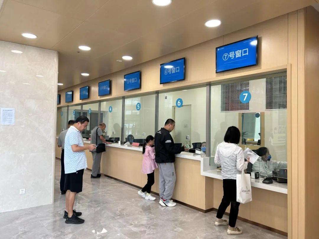 新門(mén)內(nèi)部資料免費(fèi)下載——探索與揭秘，新門(mén)內(nèi)部資料揭秘，免費(fèi)下載與探索之旅