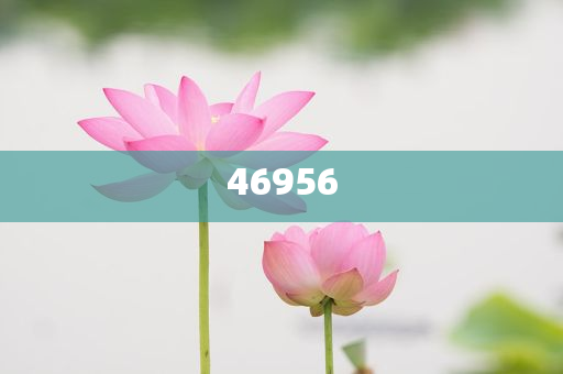 新奧集團，邁向2025，天天開好彩的愿景與挑戰(zhàn)，新奧集團邁向2025，實現(xiàn)天天開好彩的愿景與挑戰(zhàn)