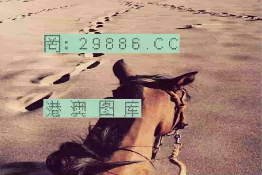 香港特馬資料王中王，揭秘背后的秘密，揭秘香港特馬資料王中王的背后秘密