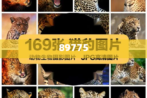 關(guān)于新奧歷史開獎記錄的最新信息，今天公布了嗎？，新奧歷史開獎記錄最新信息公布了嗎？