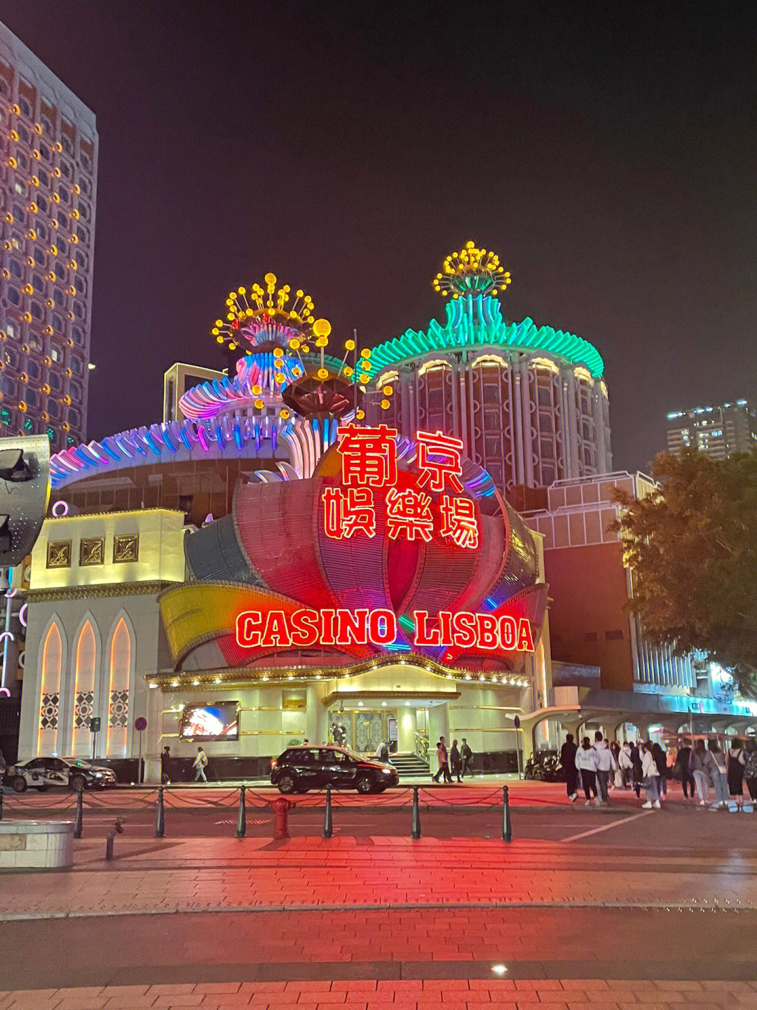 澳門今晚必開一肖一特芳草地，探索生肖與運勢的神秘面紗，澳門生肖運勢揭秘，探索今晚必開一肖一特芳草地神秘面紗的運勢之旅