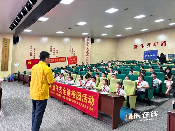 新奧49正版資料，探索與解析，新奧49正版資料深度探索與解析