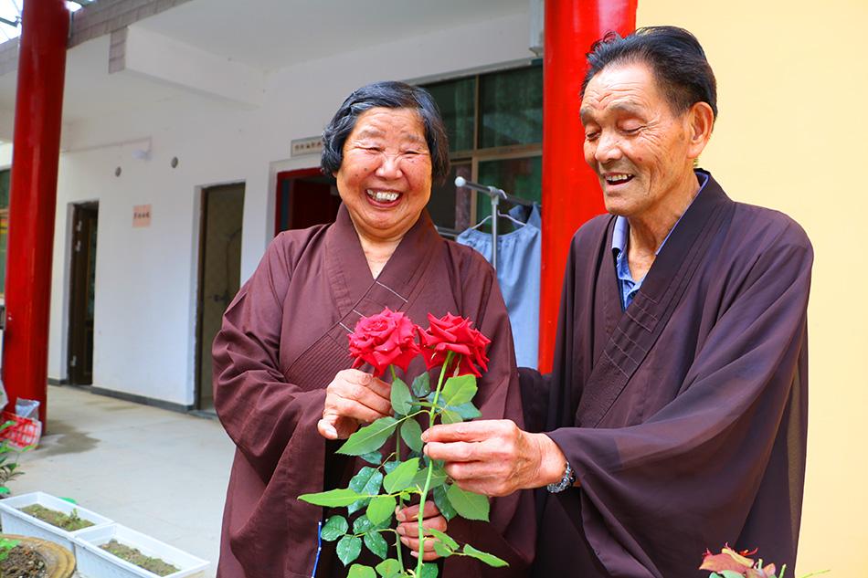 揭秘最準(zhǔn)一碼一肖，揭秘背后的秘密與真相，鳳凰網(wǎng)獨(dú)家報(bào)道，獨(dú)家揭秘，最準(zhǔn)一碼一肖背后的秘密真相（鳳凰網(wǎng)報(bào)道）