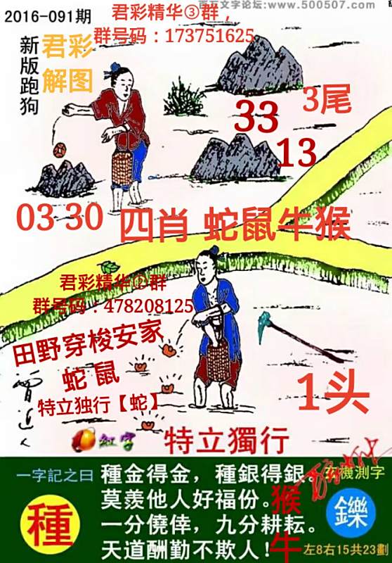 揭秘7777788888精準(zhǔn)新跑狗圖，全方位解讀其背后的秘密，揭秘新跑狗圖7777788888，全方位解讀背后的真相與秘密