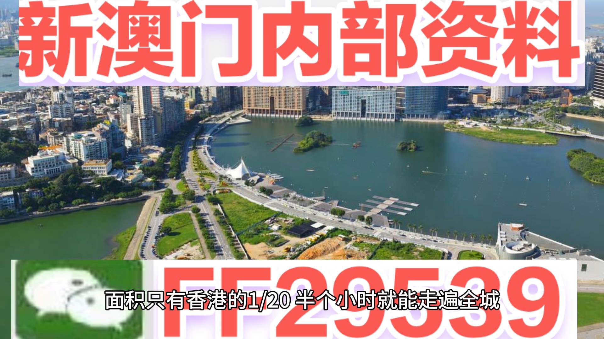 澳門彩票預(yù)測與探索，新澳門04期今晚資料分析（2025年），澳門彩票預(yù)測與探索，新澳門第04期今晚資料深度分析（2025年展望）
