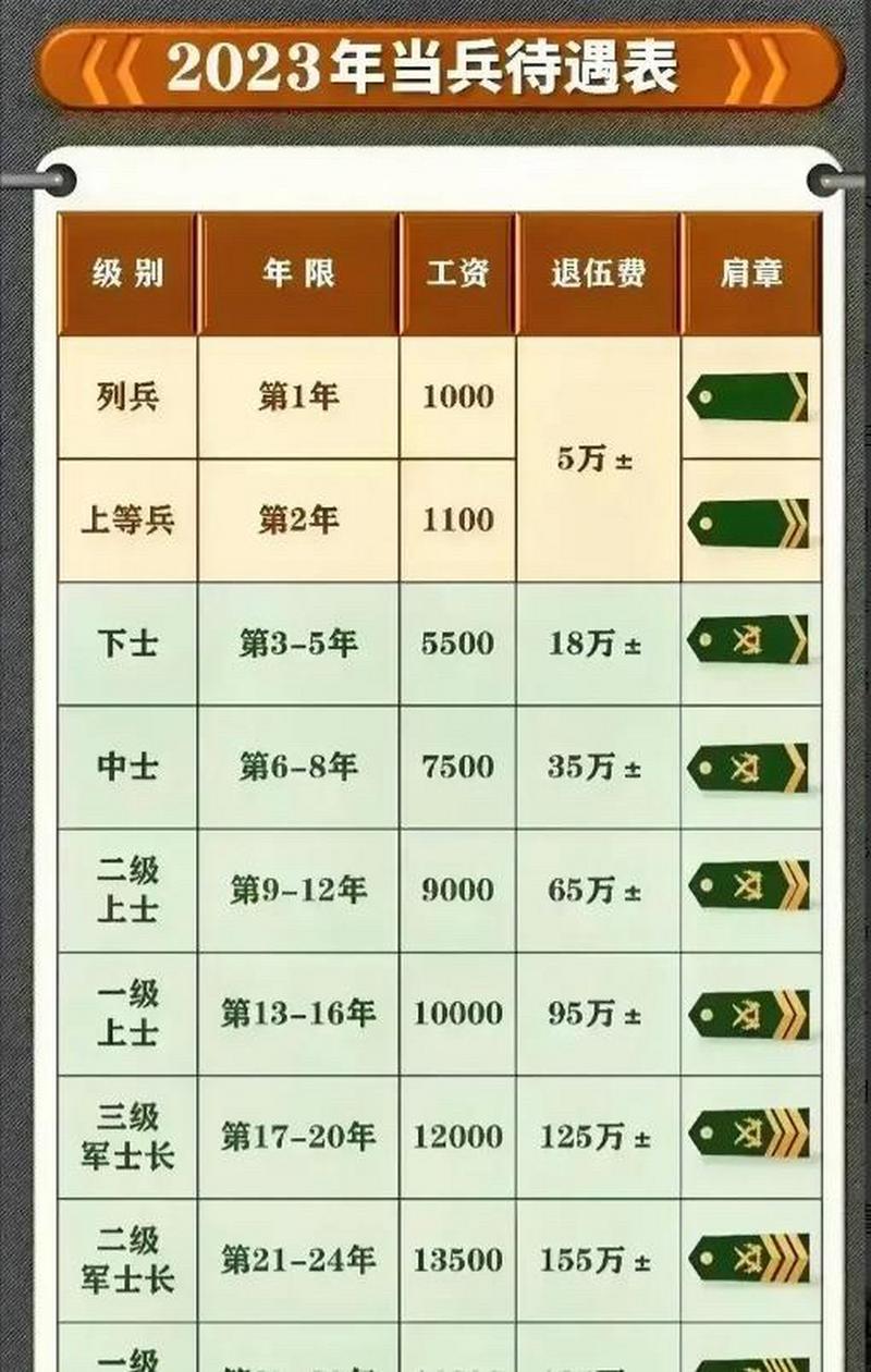 義務(wù)兵兩年能拿多少錢？全面解析義務(wù)兵薪酬及福利待遇，全面解析，義務(wù)兵兩年薪酬與福利待遇概覽