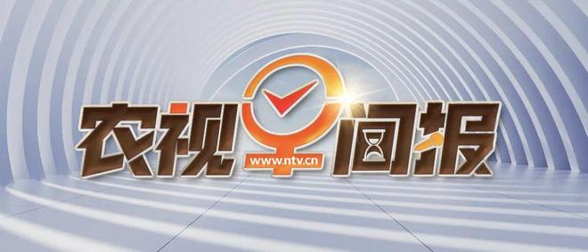 剛剛發(fā)生的新聞熱點(diǎn) 2023年最新動(dòng)態(tài)，2023年新聞熱點(diǎn)最新動(dòng)態(tài)概覽
