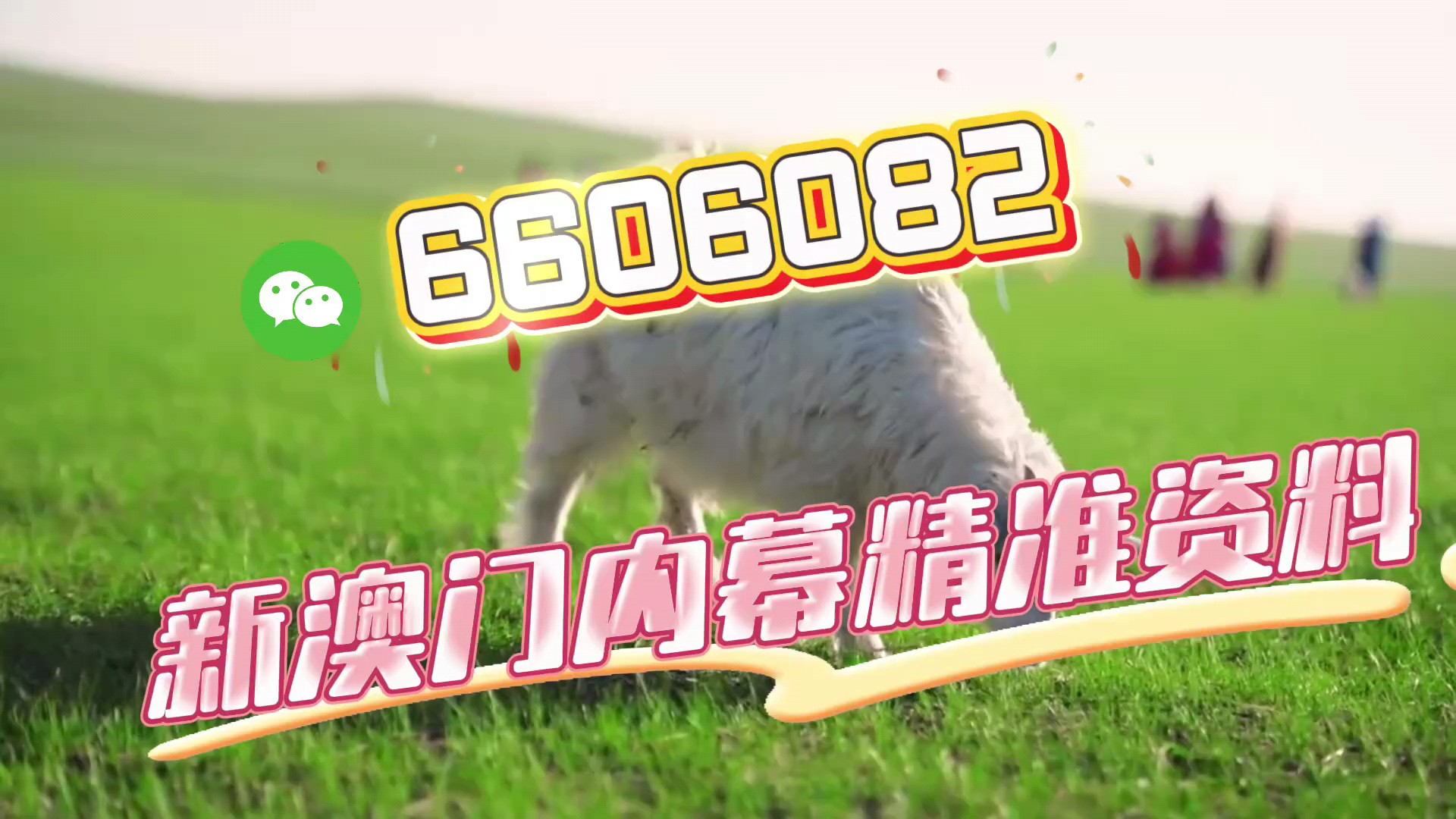 澳門今晚必開一肖一特
