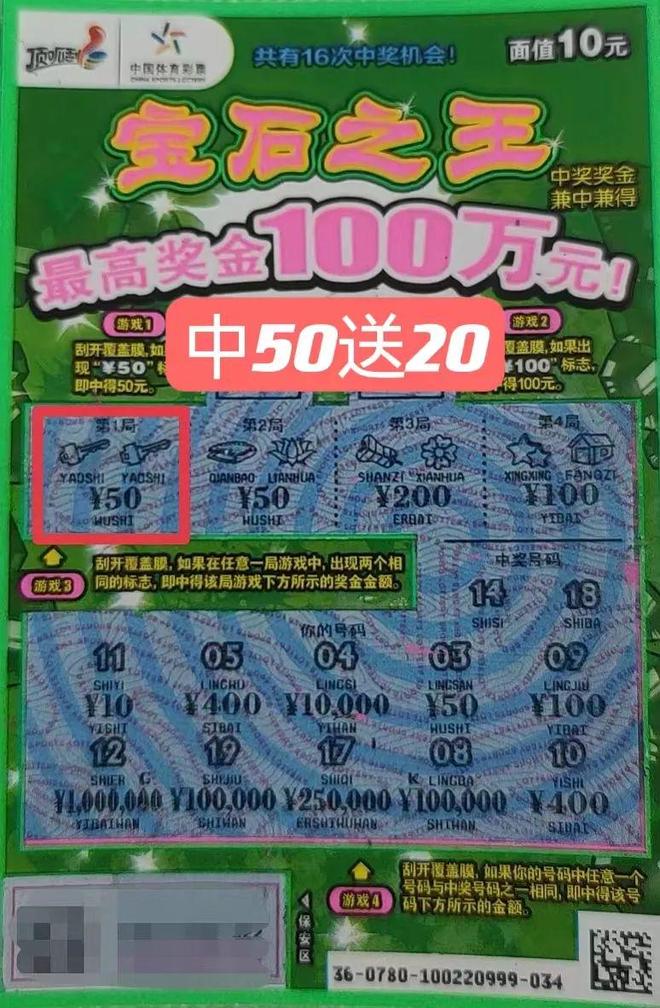 王中王金錢豹一肖中特，揭秘背后的神秘與傳奇，揭秘王中王金錢豹一肖中特的神秘與傳奇歷程