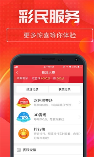 正版王中王一肖二碼中特，探索與解析，正版王中王一肖二碼中特，深度探索與解析