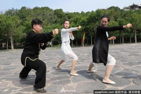 澳門六彩開獎結果記錄，探索與解析，澳門六彩開獎結果記錄解析與探索