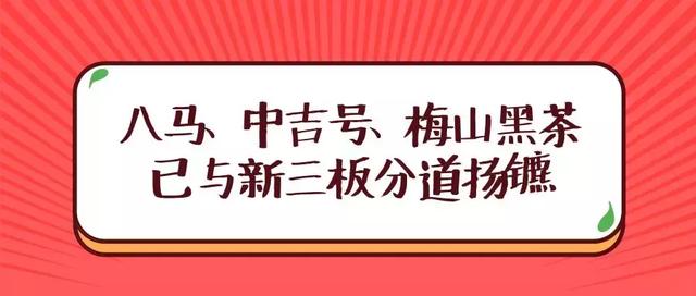 關(guān)于4887掛掛牌資料的全面解析，4887掛掛牌資料全面解析攻略