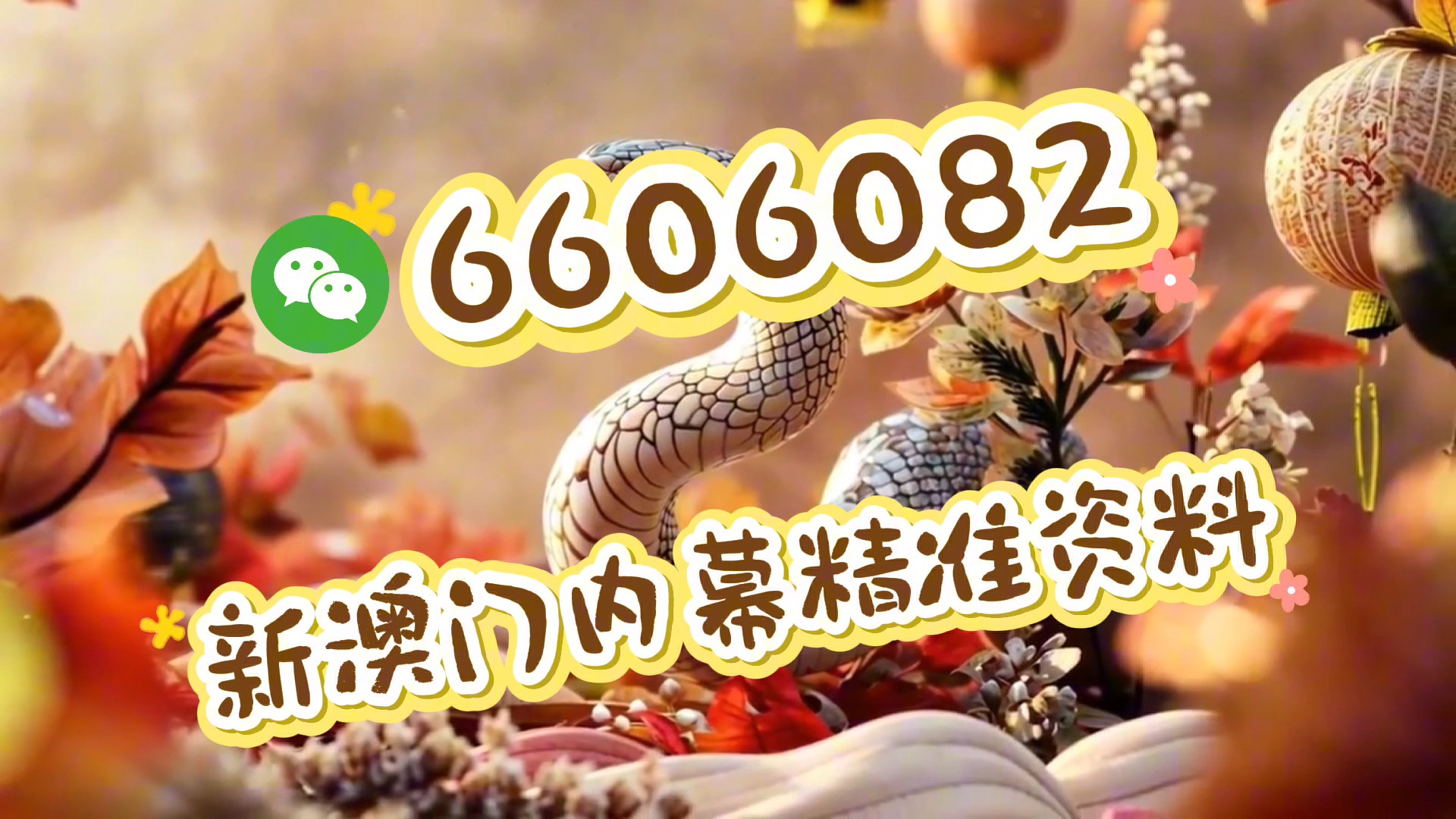 澳門馬免費料期期公開，探索背后的真相與秘密，澳門馬免費料期期公開背后的真相與秘密探索