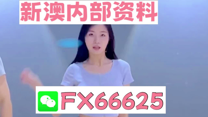 新澳門精準(zhǔn)資料大全——管家婆料解析與探索，澳門精準(zhǔn)資料大全，管家婆料解析與深度探索