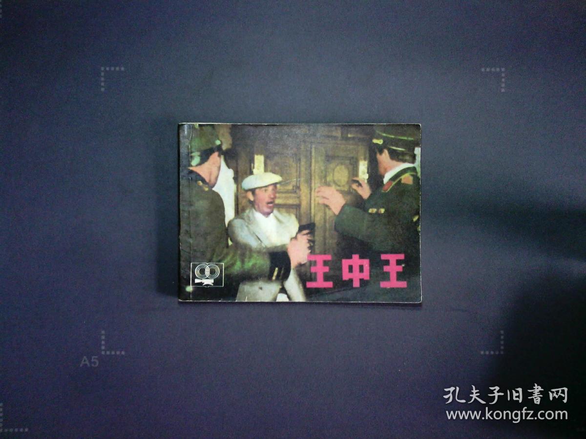 王中王資料一肖中天，深度解析與探索，王中王資料一肖中天，深度剖析與探索