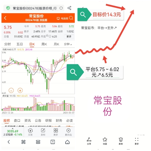 常寶股份，探究與解析，常寶股份深度探究與解析