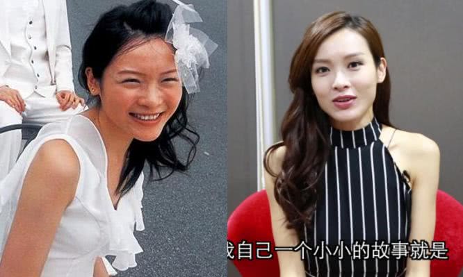 香港女明星名字大全圖，璀璨星光下的美麗傳奇，璀璨星光下的美麗傳奇，香港女明星名字大全圖