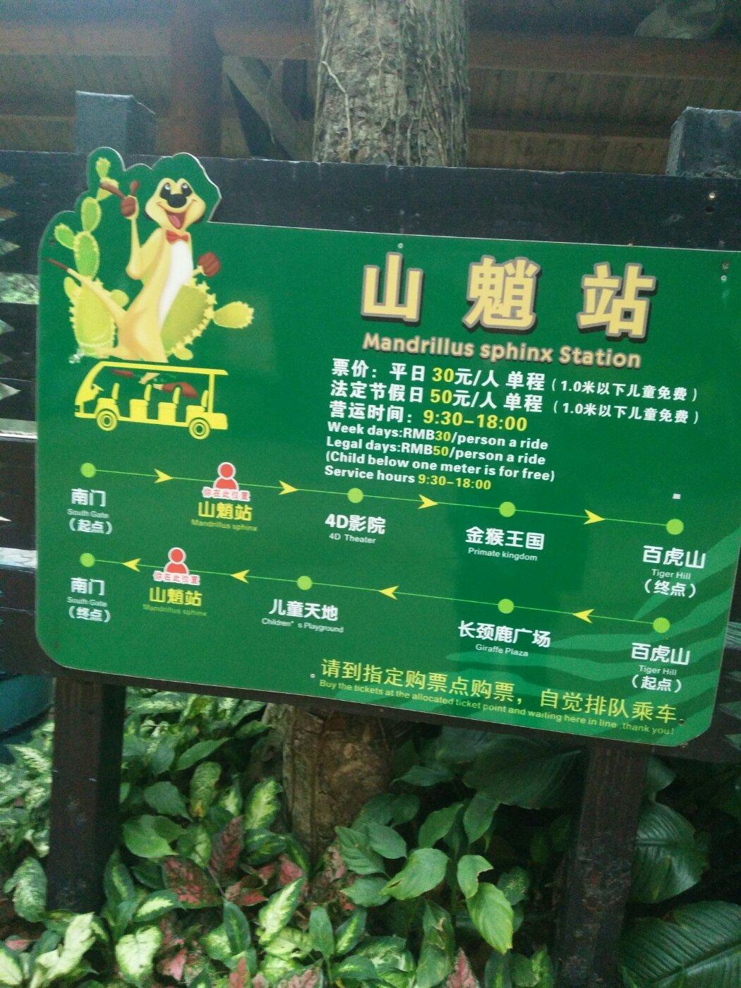 廣州長隆動物園門票攻略，一站式解決你的購票疑問，廣州長隆動物園門票攻略，購票疑問一站式解決