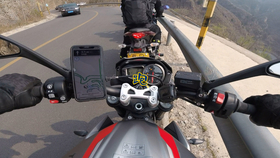 王中王310期指一生肖——揭秘生肖運勢與人生軌跡，揭秘生肖運勢與人生軌跡，王中王310期指一生肖探討返回頂部