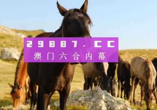 澳門八百圖庫開獎最快——全面解析與實用指南，澳門八百圖庫開獎最快，全面解析與實用指南手冊