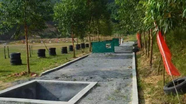 近期國防軍事事件，全球軍事動態(tài)深度解析，全球軍事動態(tài)深度解析，國防軍事事件最新進(jìn)展與啟示