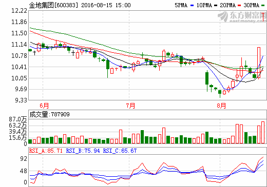 關(guān)于600383的最新消息全面解析，600383最新消息全面解析