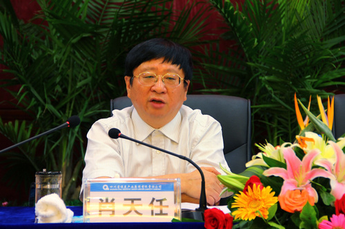 王中王資科一肖中持天，深度解析與SEO優(yōu)化策略，王中王資科一肖中持天深度解析與SEO優(yōu)化策略探討