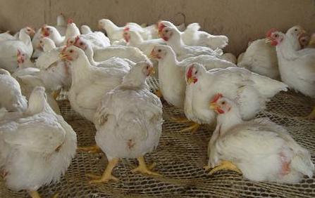 關(guān)于股票代碼002299的深入解析與前景展望，股票代碼002299深度解析與未來(lái)前景展望