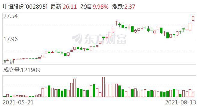 川恒股份股票，深度解析與發(fā)展前景展望，川恒股份股票深度解析與未來展望