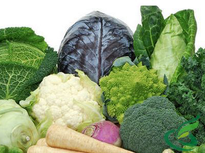 五種可止瀉的蔬菜，天然健康的止瀉良方，五種天然蔬菜止瀉良方，健康有效的止瀉選擇