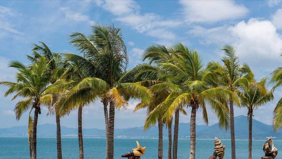 澳門一肖中100%期期準海南特區(qū)號，揭秘彩票預測背后的秘密，澳門一肖精準預測彩票背后的秘密，期期準海南特區(qū)號揭秘彩票預測之道