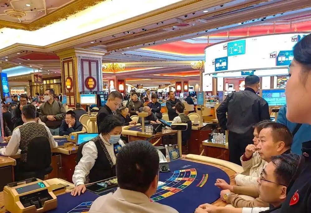 澳門六合彩開獎結果今天，揭秘彩票背后的秘密，澳門六合彩開獎揭秘，今天的結果與彩票背后的秘密