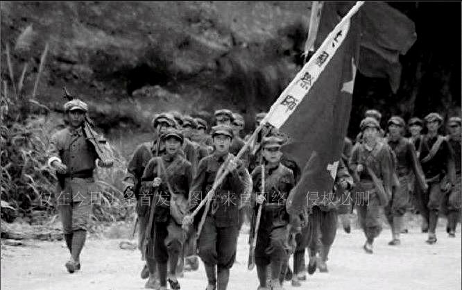 關(guān)于肖碼的探討，一種獨(dú)特的數(shù)字文化現(xiàn)象，肖碼，獨(dú)特的數(shù)字文化現(xiàn)象探討