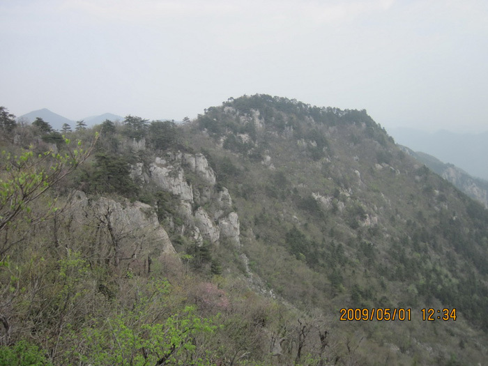 天目山風景區(qū)，自然美景的瑰寶，天目山風景區(qū)，自然美景的絕美瑰寶