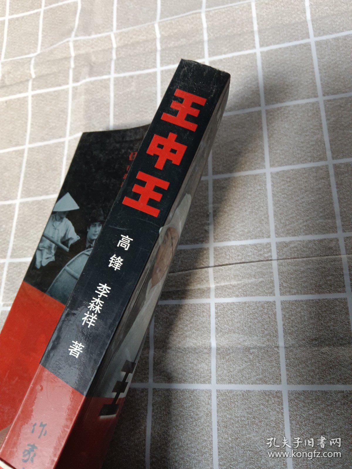 王中王資料一肖中官家，深度解析與探索，王中王資料揭秘，一肖中官家的深度解析與探索