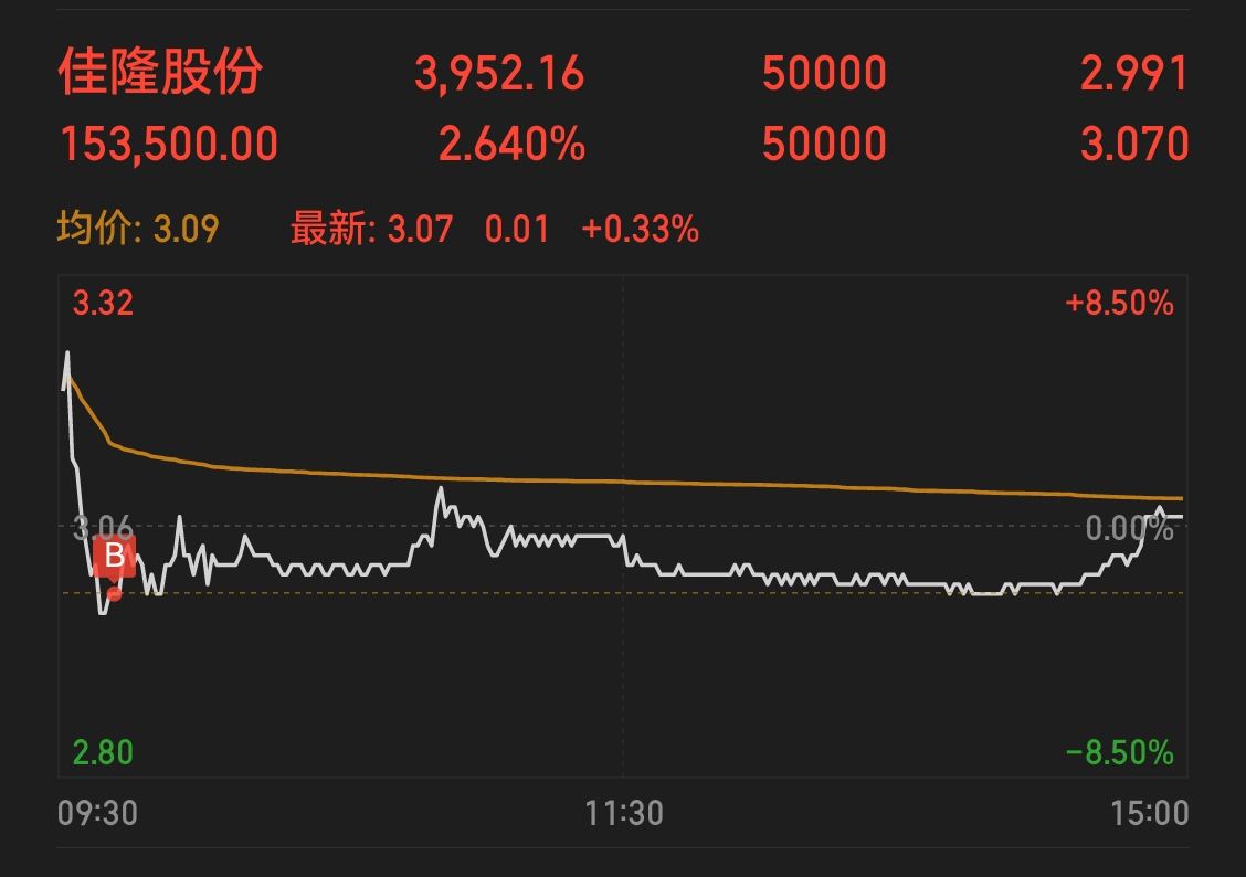 佳隆股份，引領(lǐng)行業(yè)前沿，展現(xiàn)企業(yè)卓越實(shí)力，佳隆股份，行業(yè)先鋒，卓越實(shí)力展現(xiàn)