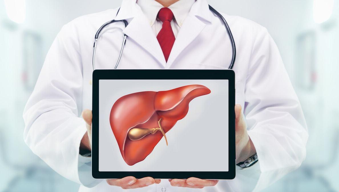 三七粉對肝臟的影響，護肝還是傷肝？，三七粉對肝臟作用解析，護肝還是傷肝？