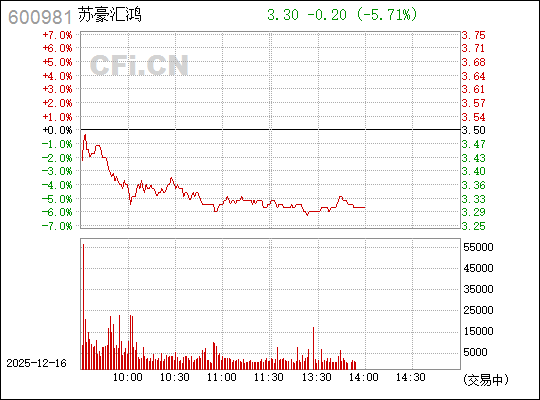 揭秘?cái)?shù)字背后的故事，探索600981的神秘面紗，揭秘?cái)?shù)字之謎，探尋600981的神秘面紗