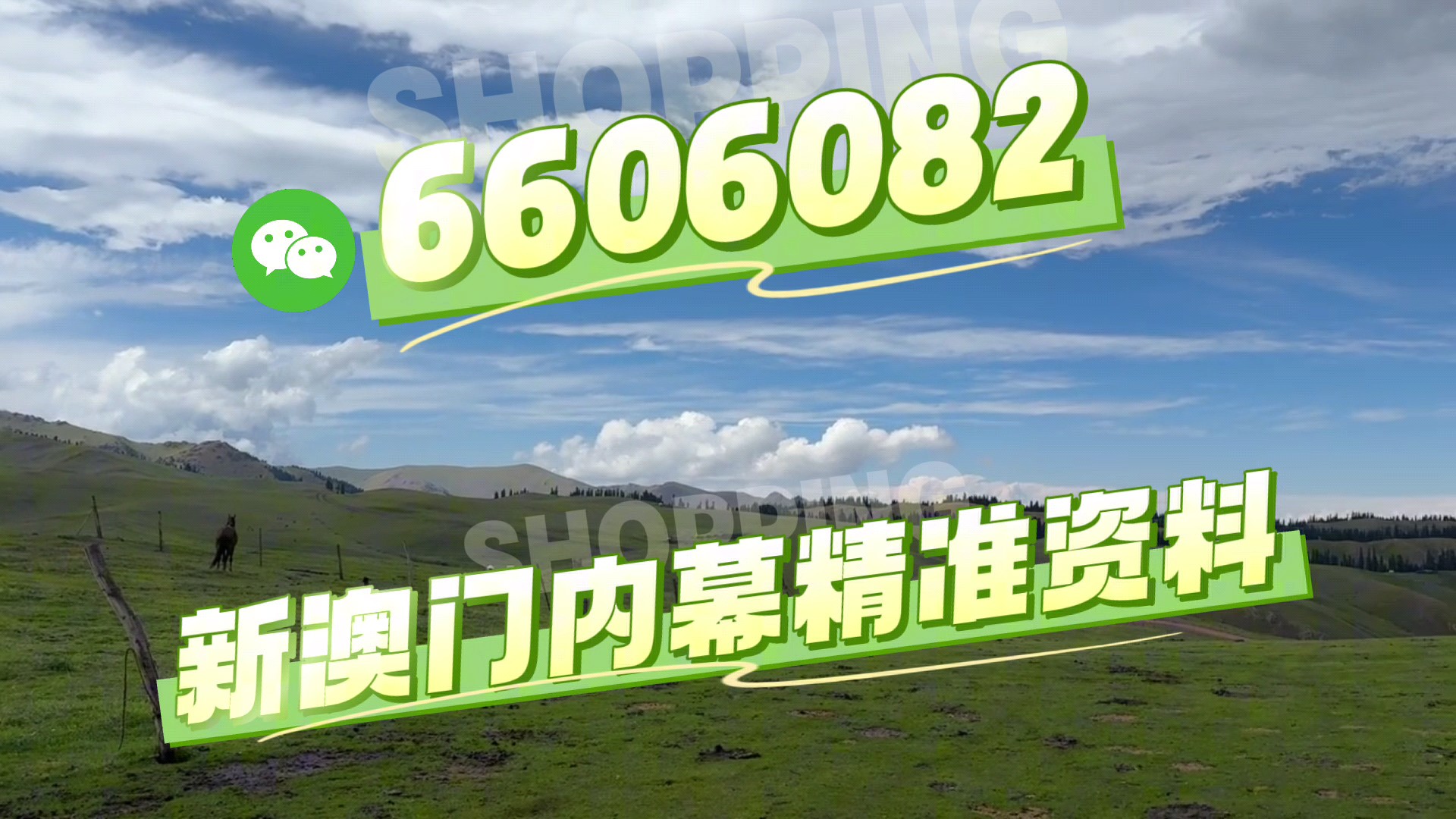 澳門今晚必開一肖一特，深度解析與預測，澳門今晚生肖特碼深度解析與預測，一肖一特必開趨勢探討